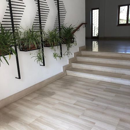Appartamento Le Zagare Sorrente Extérieur photo